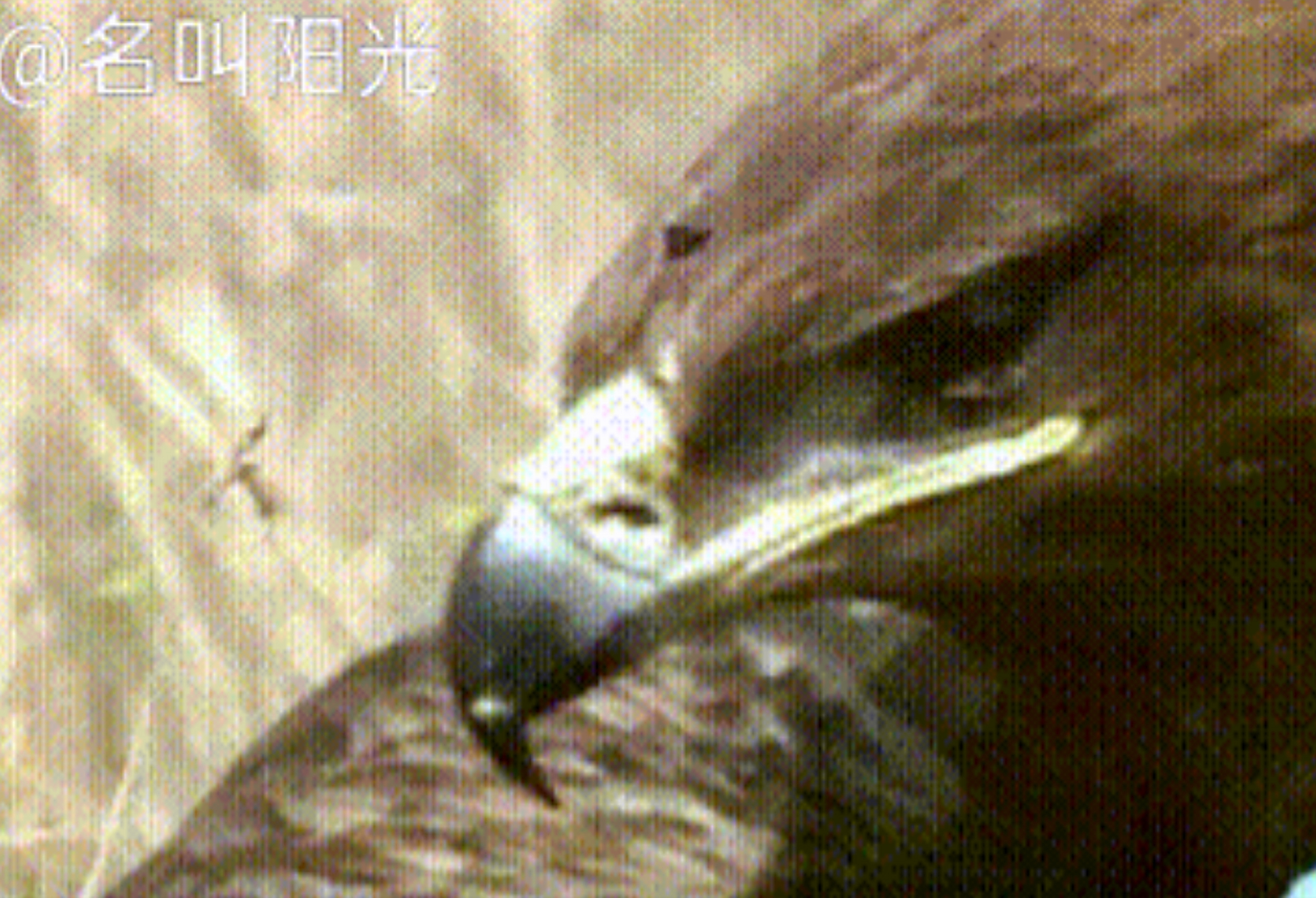 九游体育app-辽东金雕队对阵皖江雷霆队，体操杯赛小胜，细节决定成败——定位球制造杀机的简单介绍